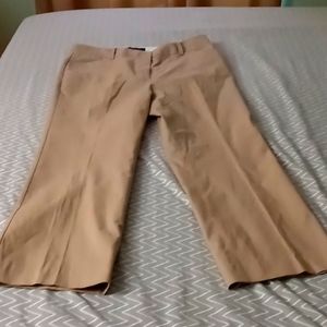 Women's trousers by Talbots 12 P